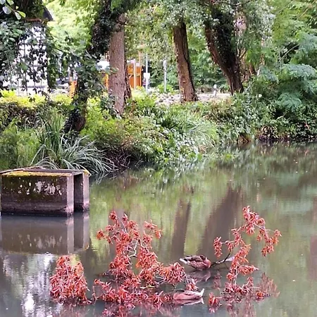 Souterrain Rheinbach