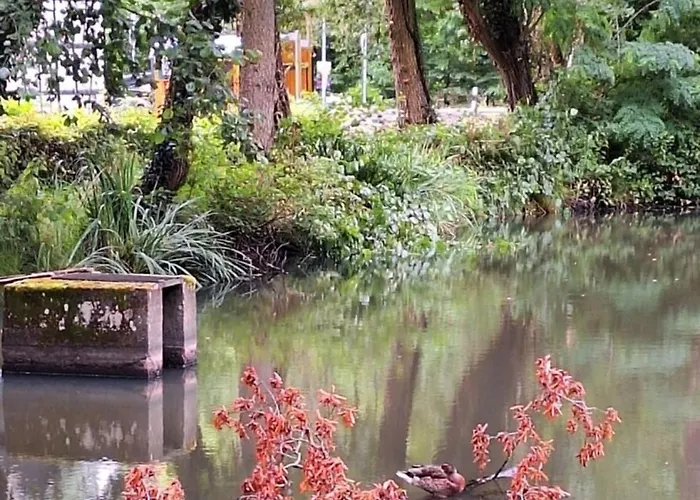 Souterrain Rheinbach